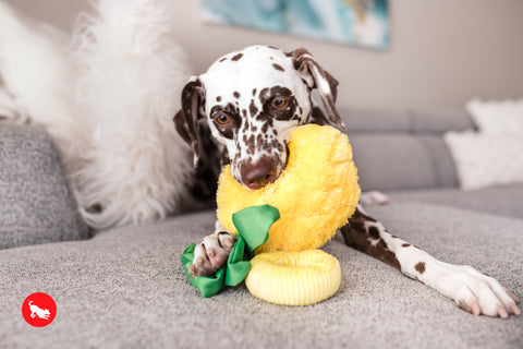 P.L.A.Y. plush dog toys are certified non-toxic, made with durable double-layered fabrics that feature reinforced stitching for extra durability, and are filled with PlanetFill® filler made from 100% post-consumer certified-safe recycled plastic bottles.