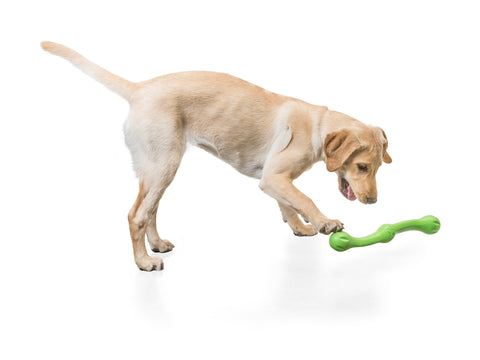 Zwig is a bendy and squishy fetching stick that combines shapes and textures to create an irresistible chew-feel with a bouncy action that keeps going even when dogs are just carrying it around. It is easy for puppies and senior dogs to grasp by mouth or hold between their paws while chewing.