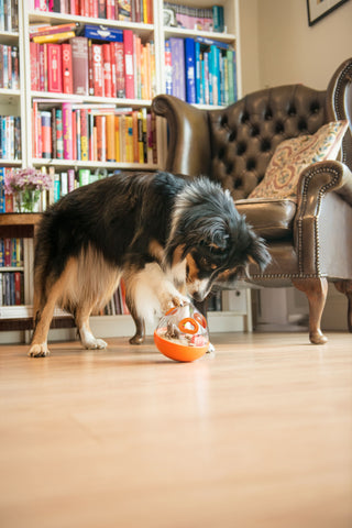 The Wobble Ball is a uniquely shaped interactive puzzle toy that combines play time with mental stimulation to create the ultimate enrichment experience. Simply fill the toy with your dog's favorite treats and watch as they paw, nose, nudge, and roll their way to a tasty reward! Can also be used as a slow-feeder.