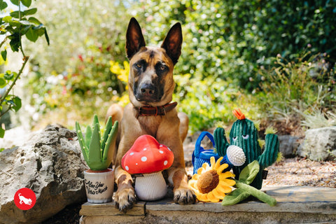 P.L.A.Y. plush dog toys are certified non-toxic, made with durable double-layered fabrics that feature reinforced stitching for extra durability, and are filled with PlanetFill® filler made from 100% post-consumer certified-safe recycled plastic bottles.