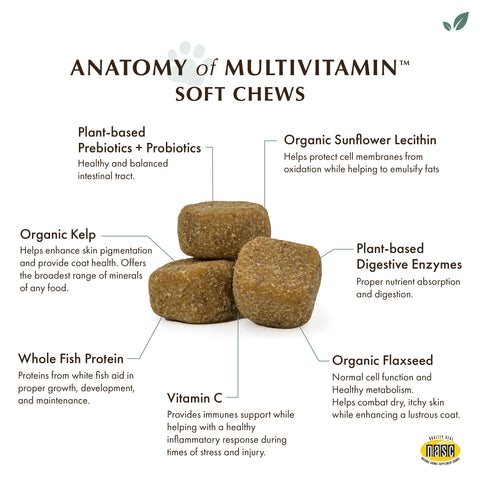 A super-premium, cold-pressed soft chew that provides your pet with a complete array of vitamins, minerals, enzymes, essential fatty acids, powerful antioxidants, and digestive microflora.