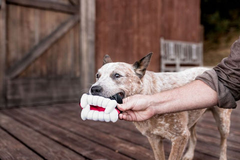 P.L.A.Y. plush dog toys are certified non-toxic, made with durable double-layered fabrics that feature reinforced stitching for extra durability, and are filled with PlanetFill® filler made from 100% post-consumer certified-safe recycled plastic bottles.