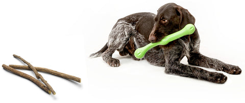 Zwig is a bendy and squishy fetching stick that combines shapes and textures to create an irresistible chew-feel with a bouncy action that keeps going even when dogs are just carrying it around. It is easy for puppies and senior dogs to grasp by mouth or hold between their paws while chewing.