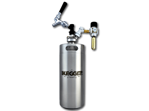 homebrew kegging system with co2 tap
