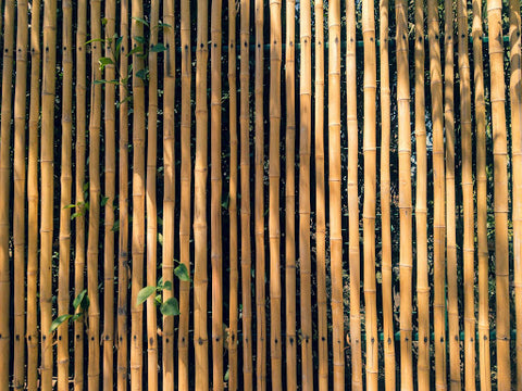 A wall made of bamboo 
