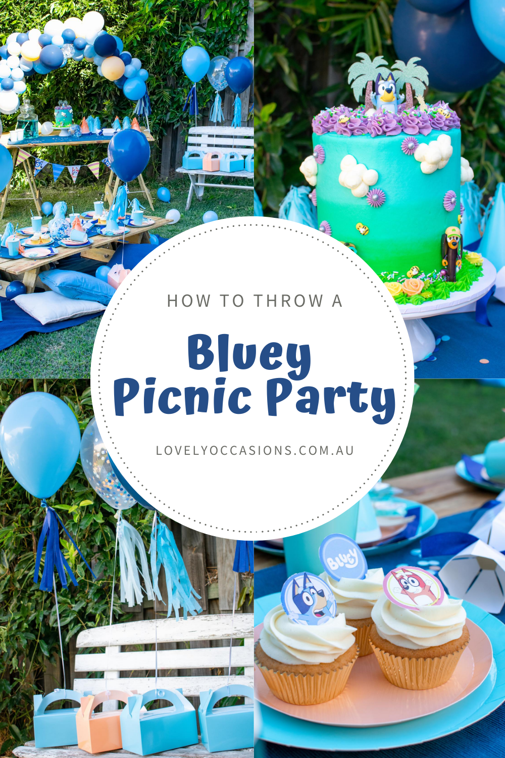 bluey party on pintrest