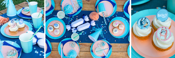 How to Guide: Bluey Picnic Party – Lovely Occasions