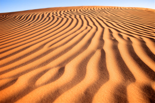 Rare, native, plant materials were transported over vast lands.