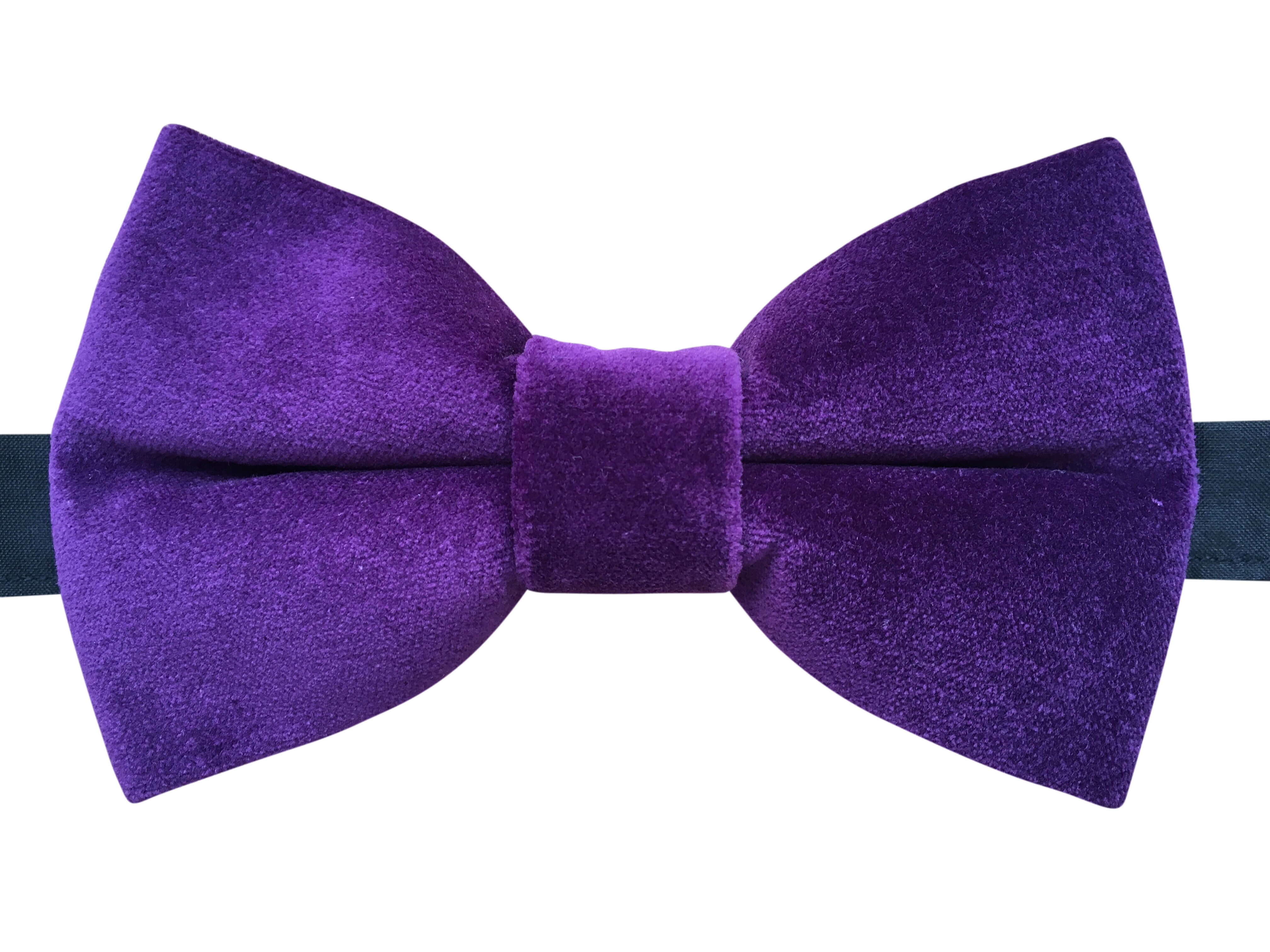 purple bow tie