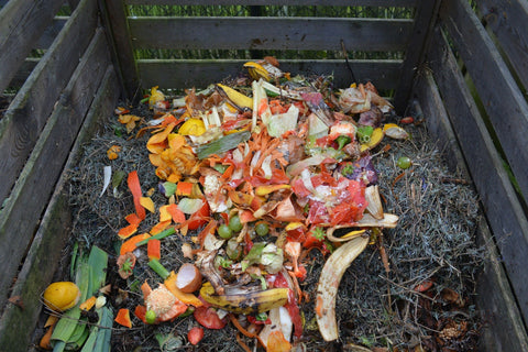 compost bin with soil and food scraps 