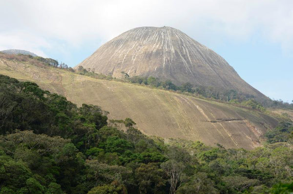 mount namuli protected land Mozambique Africa