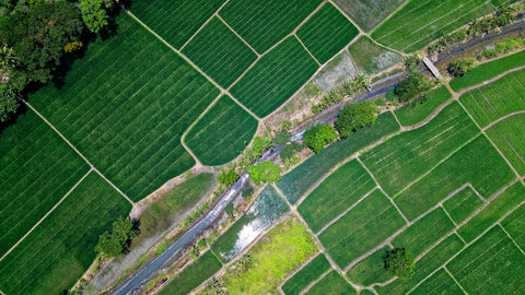 aerial view of large plot of farm land