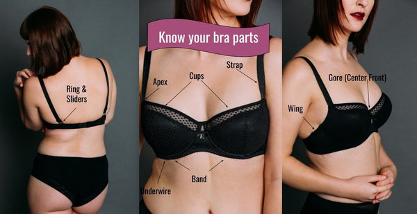 Bra Sister Sizes  Why Different Bra Sizes Fit the Same Woman – BRAS FOR  SMALL CUPS