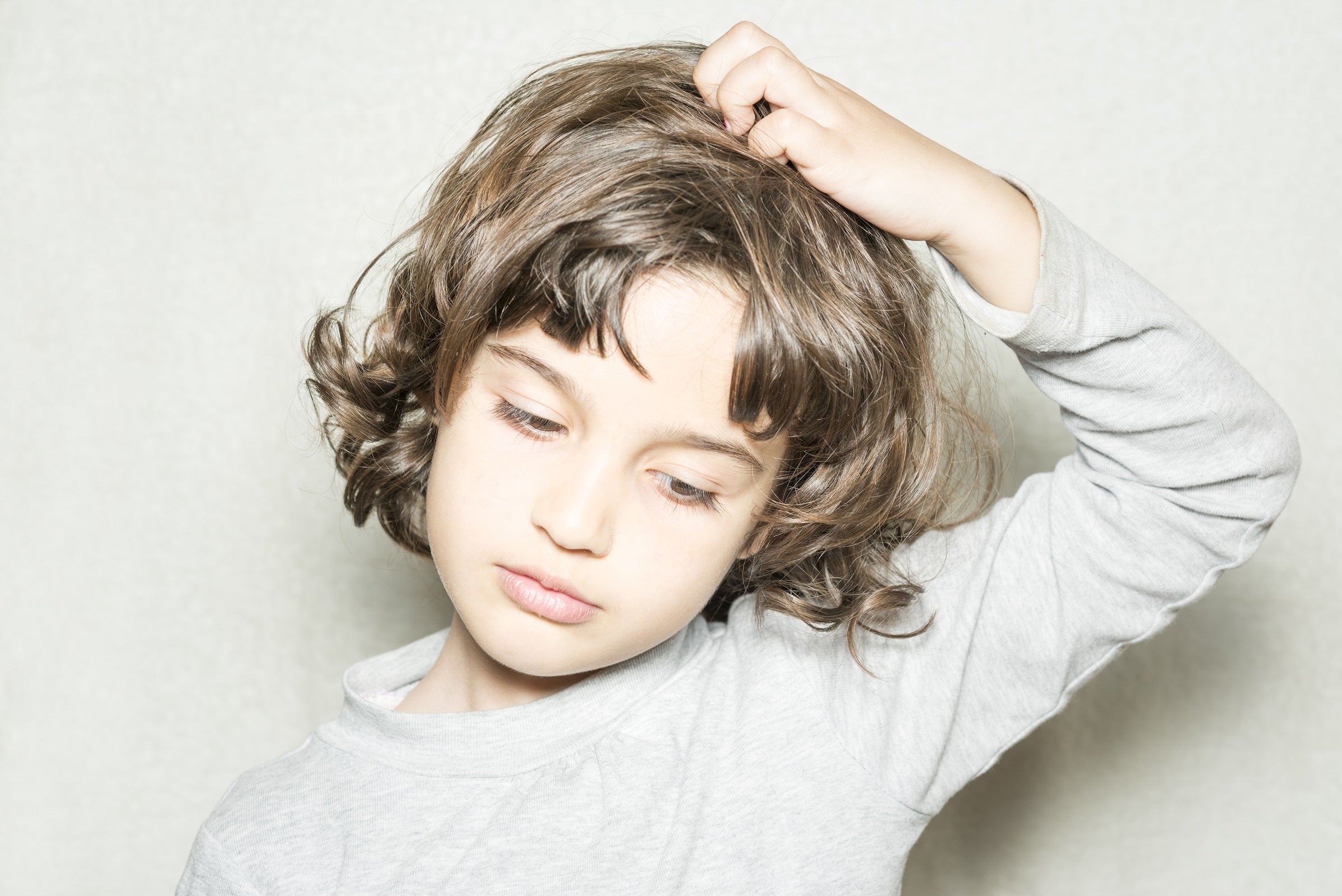 Combating Head Lice With Natural Ingredients Holistic Hair