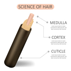 Science of Hair