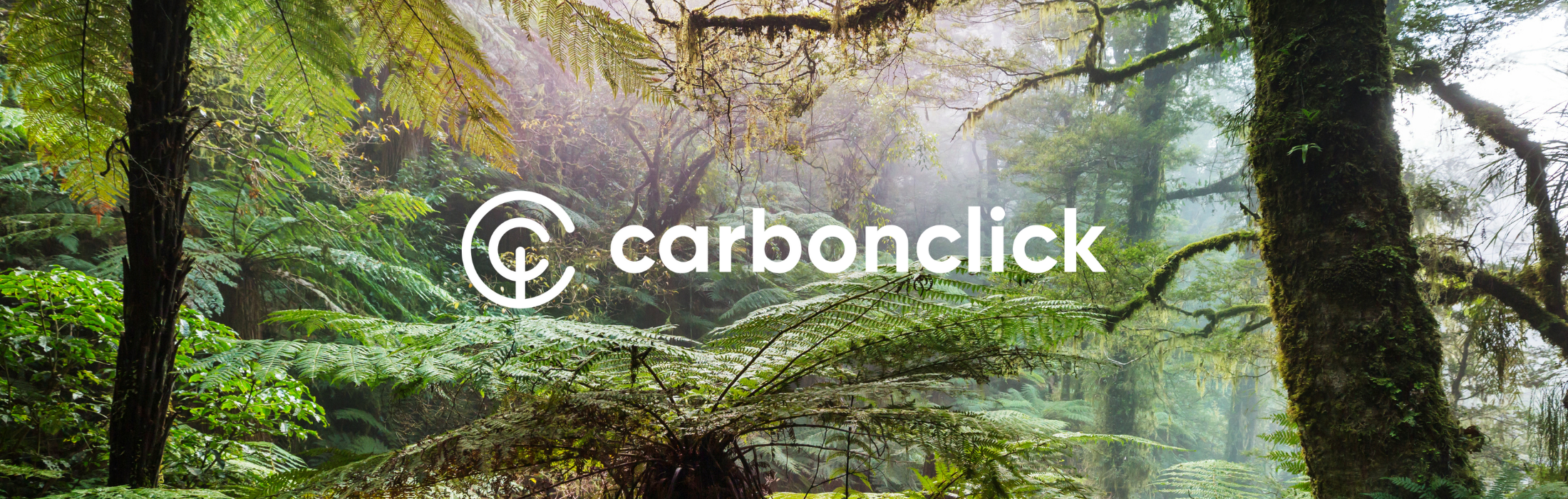 CarbonClick Climate Friendly Carbon Offsetting