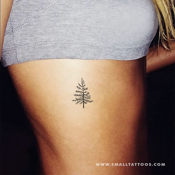 Mini Tattoos on Twitter Mini pine tree tattoo httptco109hTgMjR7   Twitter
