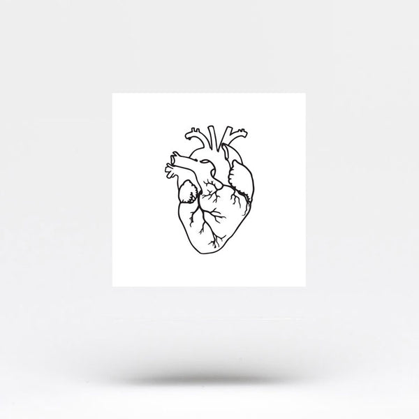 heart anatomy png anatomicalheart tattoo hearttattoo  Anatomical  Heart Tattoo Outline Transparent Png  vhv