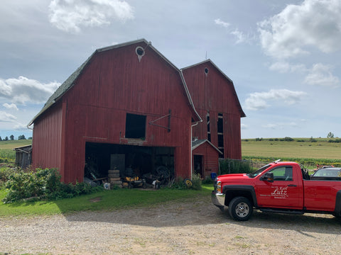 Barns on the farm