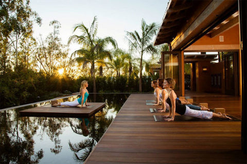 People doing yoga on a wooden deck over water with palm trees in the background.
