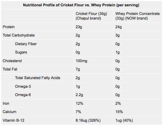 Chapul Cricket Protein vs Whey Protein Powder