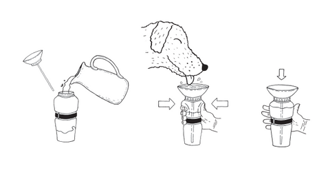 auto dog water bottle