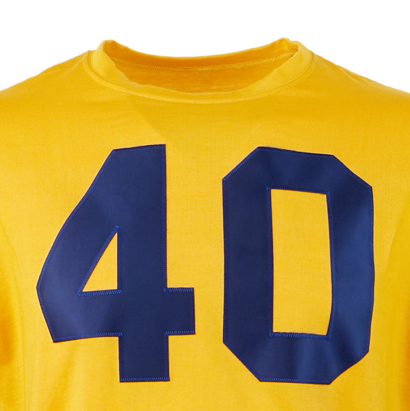 rams on field jersey