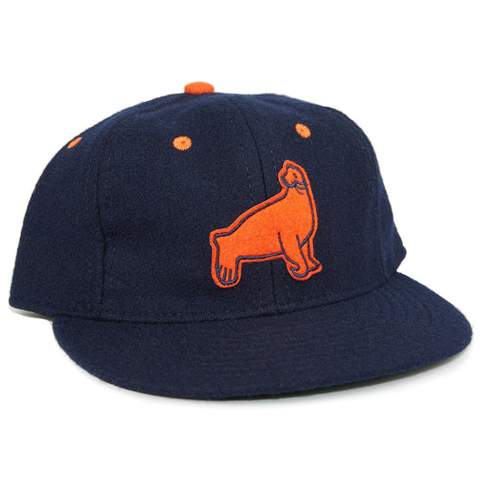 san francisco sea lions hat