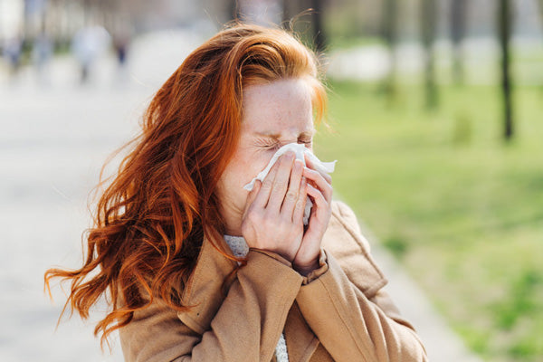 The 6 Best Adaptogens to Fight Allergies Naturally Teelixir blog article