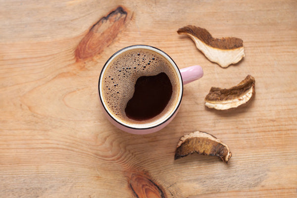 Best Medicinal Mushrooms to Add To Your Coffee