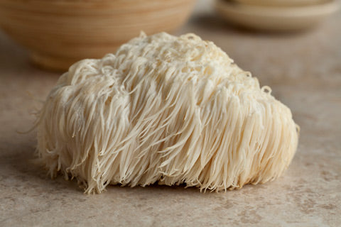 Top 3 Medicinal Mushrooms for Brain Health Lion's Mane mushroom