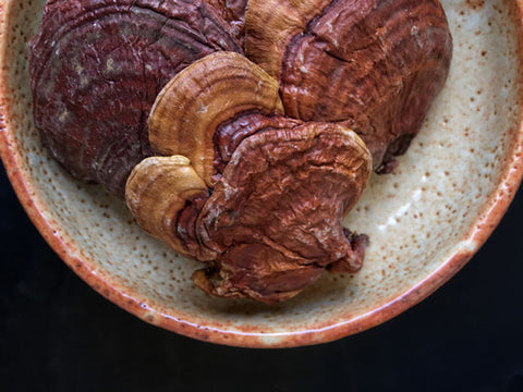 Reishi Mushroom benefits for skin