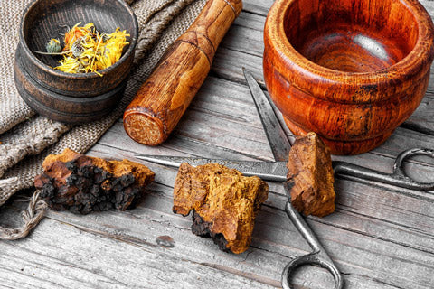 how much chaga tea should you drink per day
