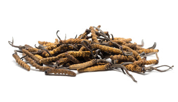 Teelixir Certified Organic Cordyceps Mushroom CS-4