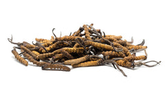 Teelixir Cordyceps sinensis Mushroom Certified Organic