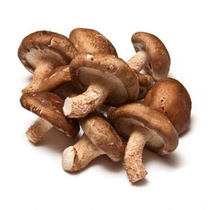 Teelixir Shiitake mushroom gut health