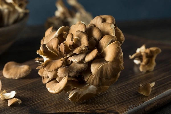 Interesting Facts You Should Know About Maitake Mushrooms