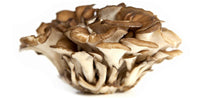 Teelixir Organic Maitake mushroom extract powder