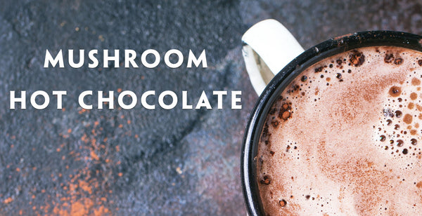 Superfood Medicinal Mushroom Hot Cacao Chocolate Recipe