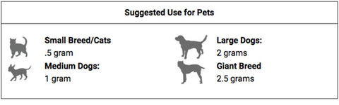 Adding the correct dose of Edible Mushrooms to your Dog’s Diet