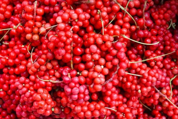 Potential Benefits of Schisandra Berry