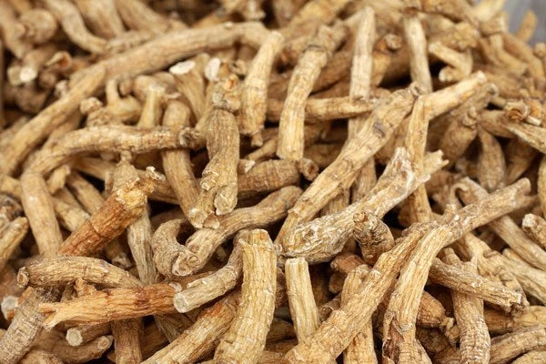 An Overview of Siberian Ginseng