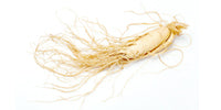 Teelixir Ginseng root