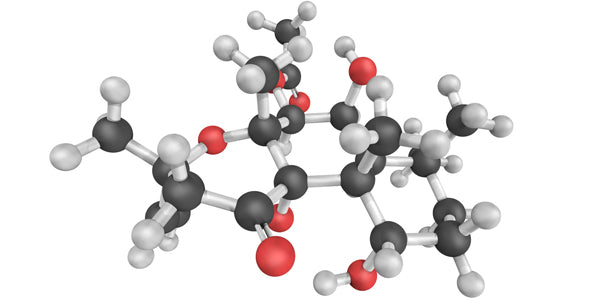 Teelixir balance hormones endocrine system