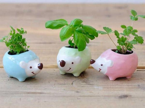 Hedgehog planters