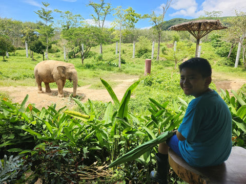 Boy with elephant in lush area of Thailand