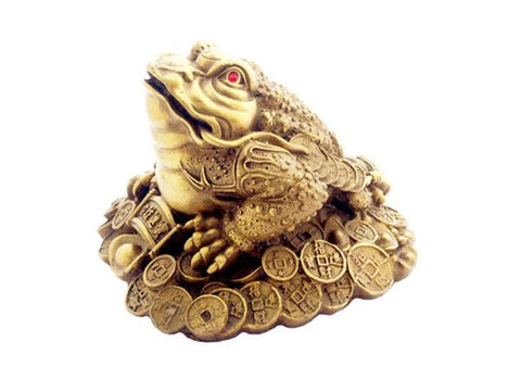 A gold colored money toad with red eyes, side view
