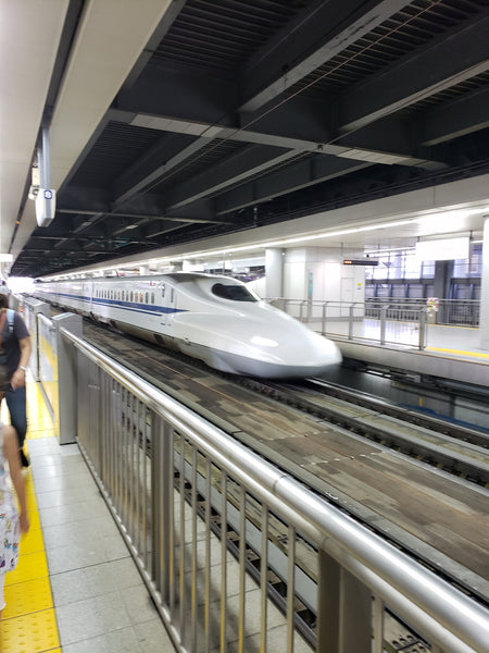 A bullet train arrives in a station