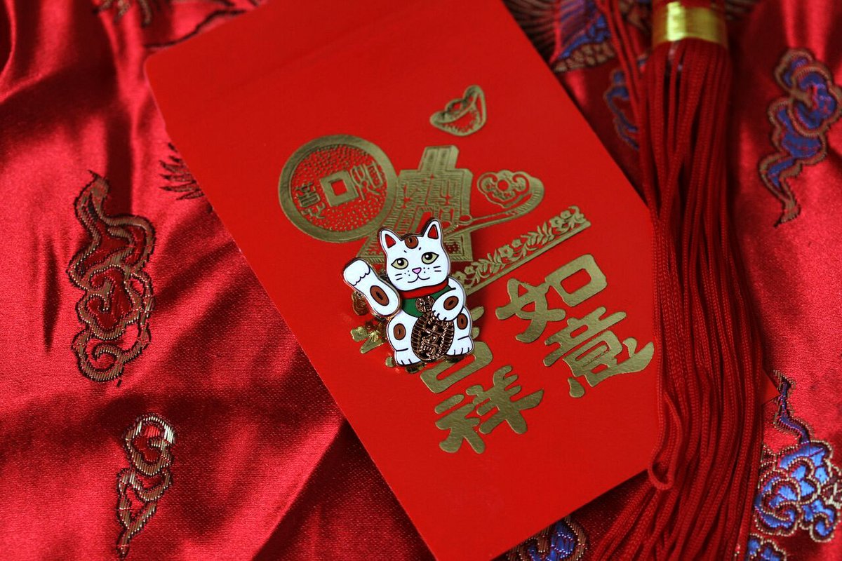 lucky cat pin