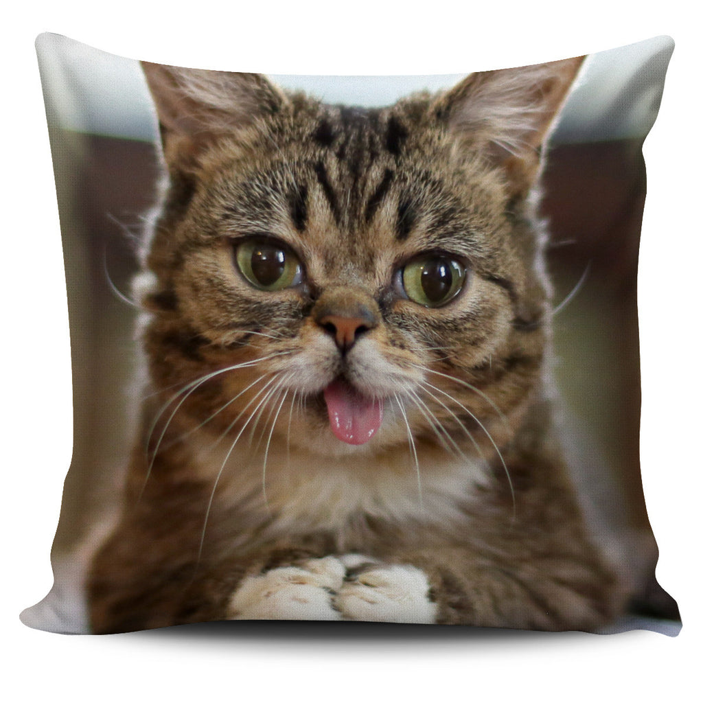 CAT PILLOW COVERS – DealSurf